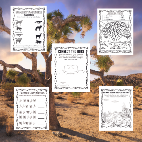 Joshua Tree National Park Activity Book for Kids