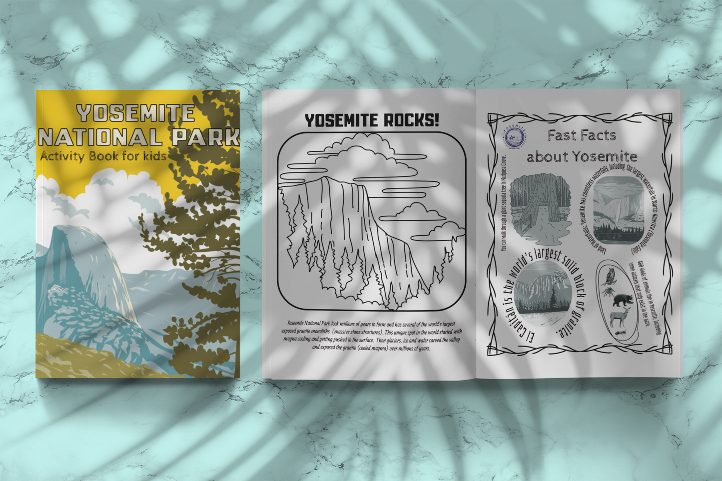 Yosemite National Park Activity Book