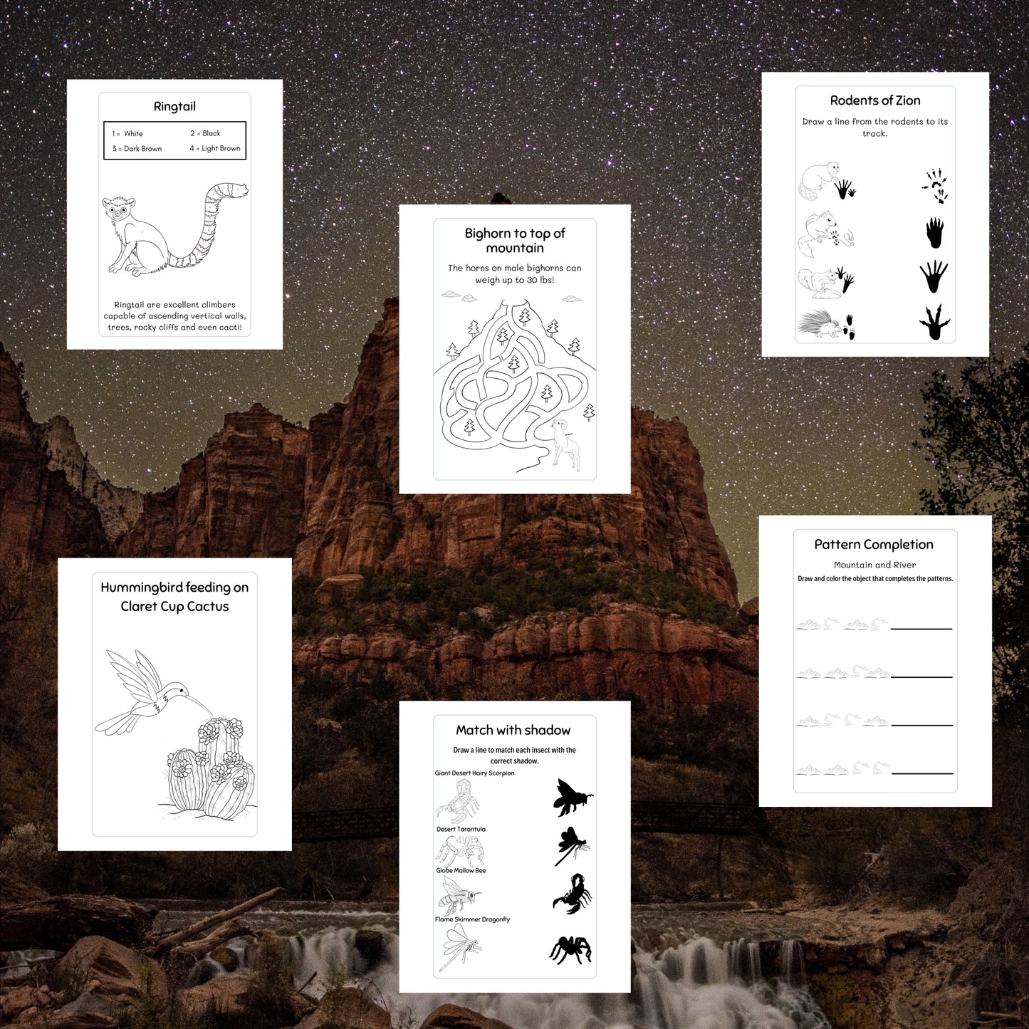 Zion National Park Activity Book for Kids (Ages 3-6)